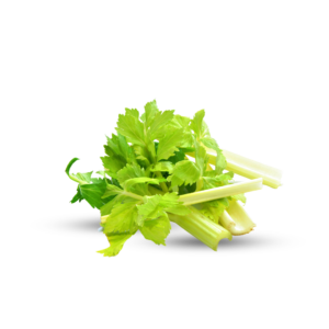 Fresh Celery Leaves - High-Quality Herb - Morowali Indonesia
