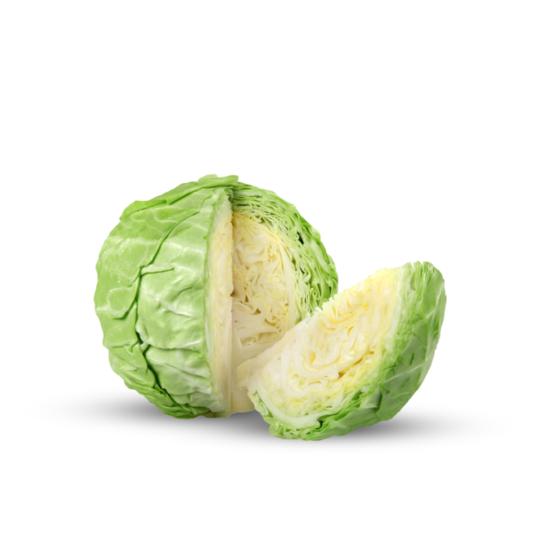 Large White Cabbage - Top-Quality Pest-Free Vegetable - Morowali Indonesia