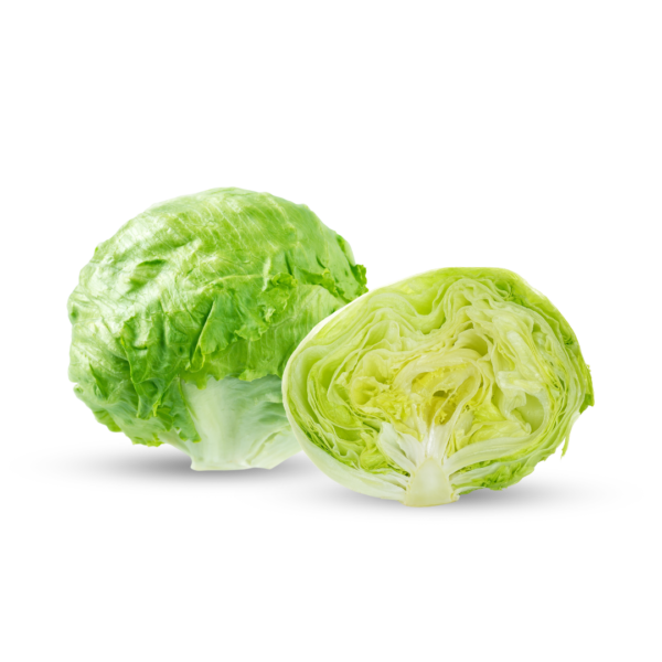 Fresh Lettuce Head - High-Quality Crisp Vegetable - Morowali Indonesia