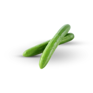 Japanese Cucumber - High-Quality Blemish-Free Vegetable
