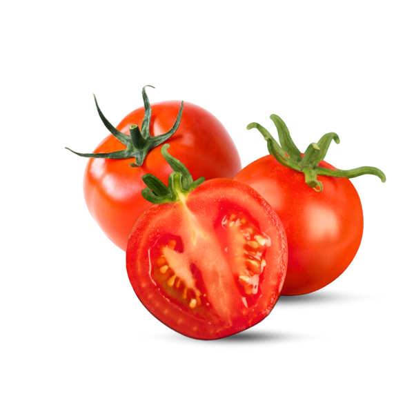 Fresh Green-Shoulder Tomatoes - High-Quality Fresh Produce
