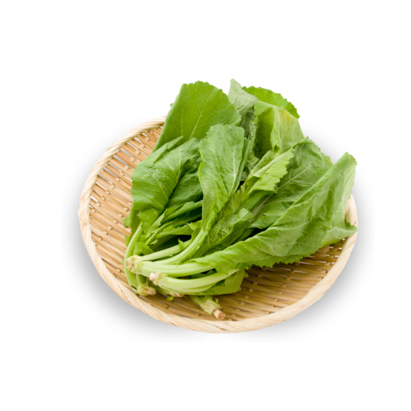 Fresh Dark Green Mustard Greens - Sweet and Bitter-Free, Morowali Indonesia