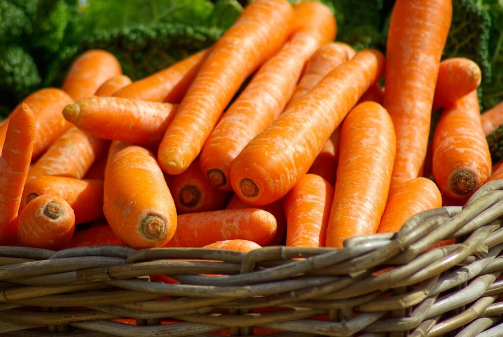 carrots, basket, vegetables-morowali indonesia
