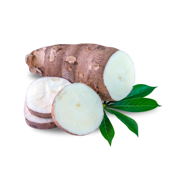 Cassava - Versatile and Fresh, Morowali Indonesia