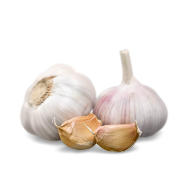 Premium Quality Garlic Bulbs - Enhance Your Culinary Creations, Morowali indonesia