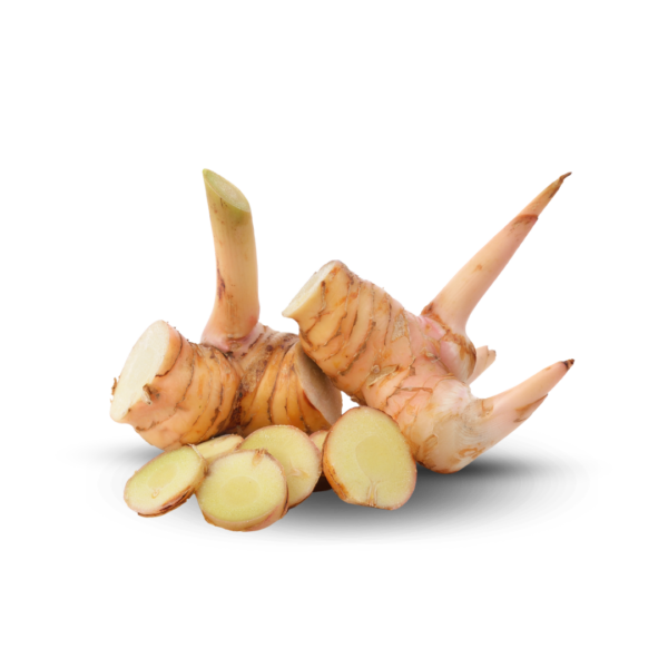 Fresh Galangal - 100-250 grams per Rhizome