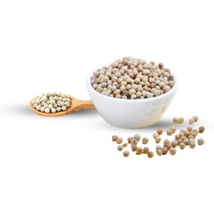 Premium White Pepper - Fresh and Aromatic Spice, Morowali Indonesia