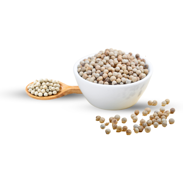 Premium White Pepper - Fresh and Aromatic Spice, Morowali Indonesia