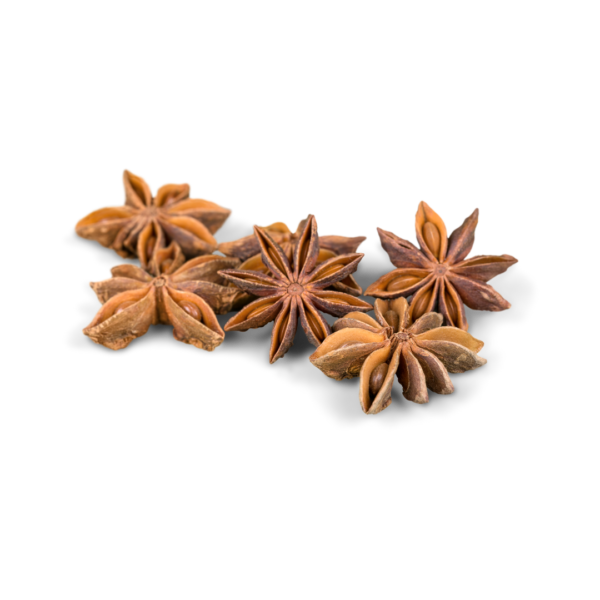 Premium Dried Star Anise - Bold and Exotic Star Anise, Morowali Indonesia