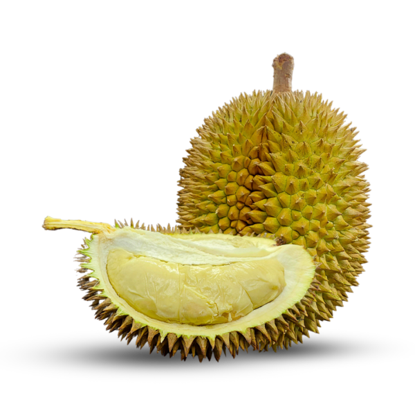 Premium Durian - Large, Sweet Yellow Flesh, Small Seeds, Free from Spoilage and Pests