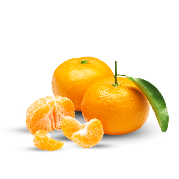 Fresh Sweet Oranges - 6.5 kg Pack, Ideal for Snacking and Fresh Juice